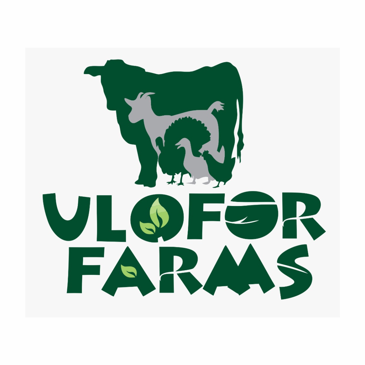ulofor